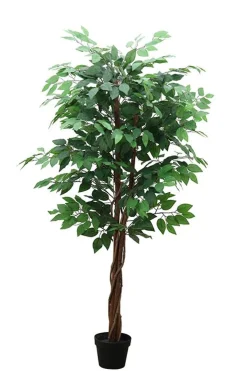 maxibazar Ficus 3 Troncs 756 Feuilles Pot H.150Cm