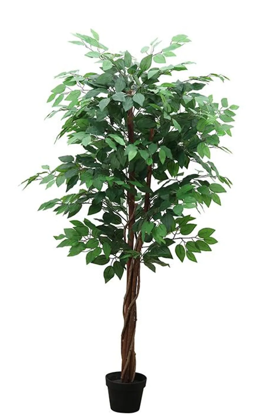 maxibazar Ficus 3 Troncs 756 Feuilles Pot H.150Cm