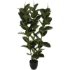 Atmosphera Ficus Robusta H.120Cm