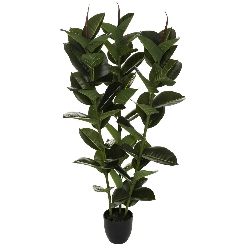 Atmosphera Ficus Robusta H.120Cm