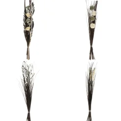 maxibazar Fleurs Sechees H.100Cm