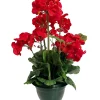 maxibazar Geraniums Pot H.37Cm