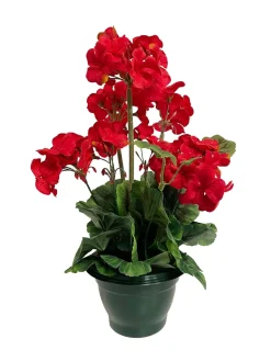 maxibazar Geraniums Pot H.37Cm