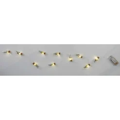 maxibazar Guirlande 10 Fioles Verre Remplies De Fleurs