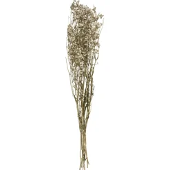 Atmosphera Gypsophile Naturel Seche H.58Cm