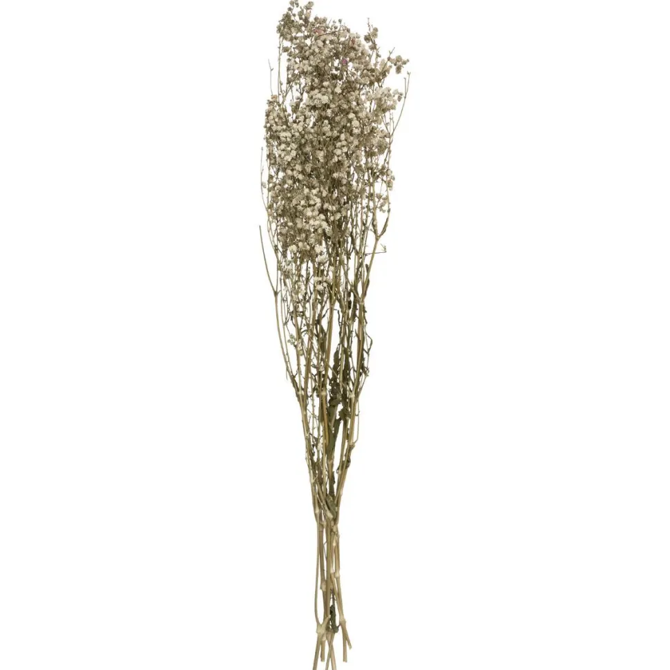 Atmosphera Gypsophile Naturel Seche H.58Cm