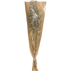 Atmosphera Gypsophile Naturel Seche H.58Cm