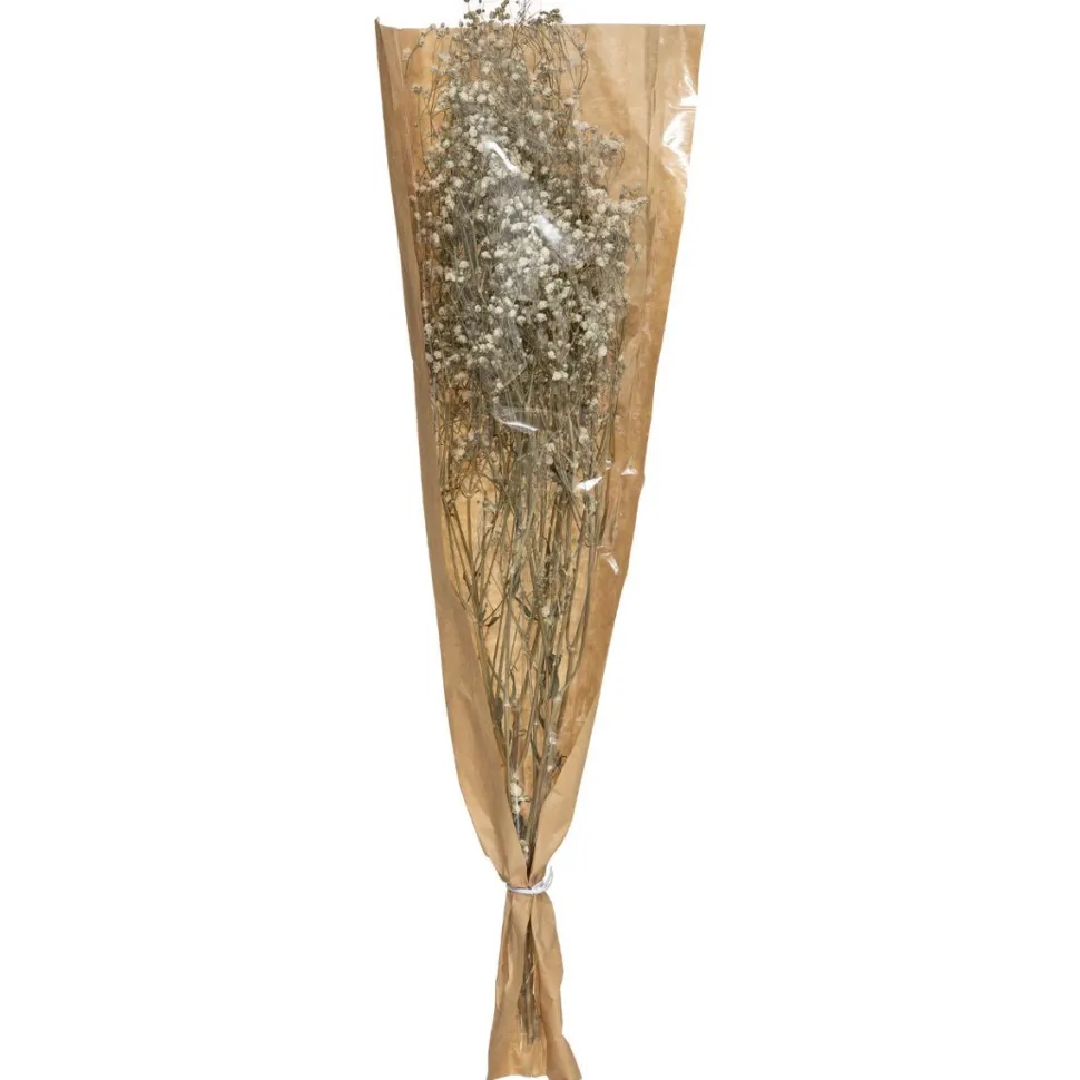 Atmosphera Gypsophile Naturel Seche H.58Cm