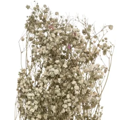 Atmosphera Gypsophile Naturel Seche H.58Cm