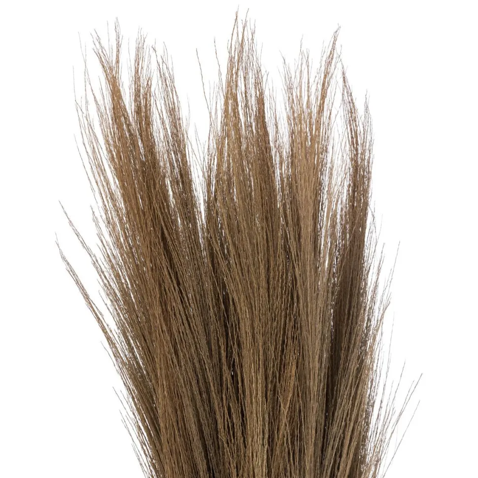 maxibazar Herbes Sechees Origines H.110Cm