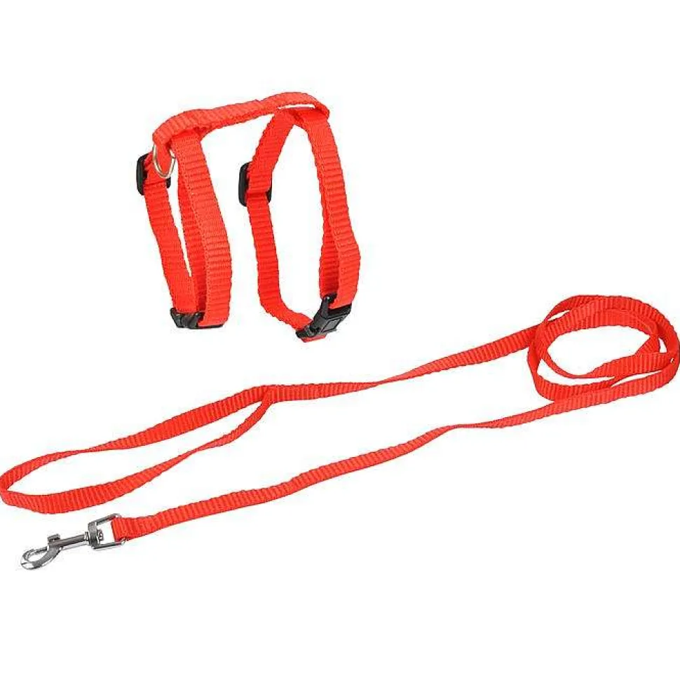 Kit Harnais Et Laisse Pour Chat 20 A 30Cm 120Cm Rouge