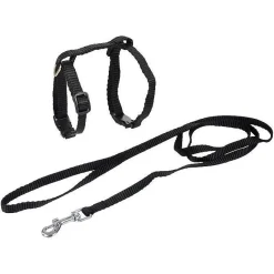 Kit Harnais Et Laisse Pour Chat 20 A 30Cm 120Cm Noir