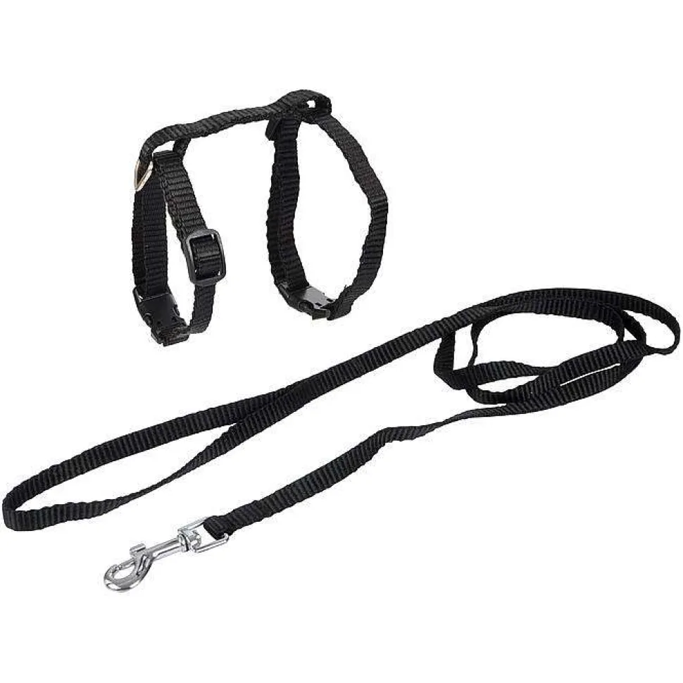 Kit Harnais Et Laisse Pour Chat 20 A 30Cm 120Cm Noir