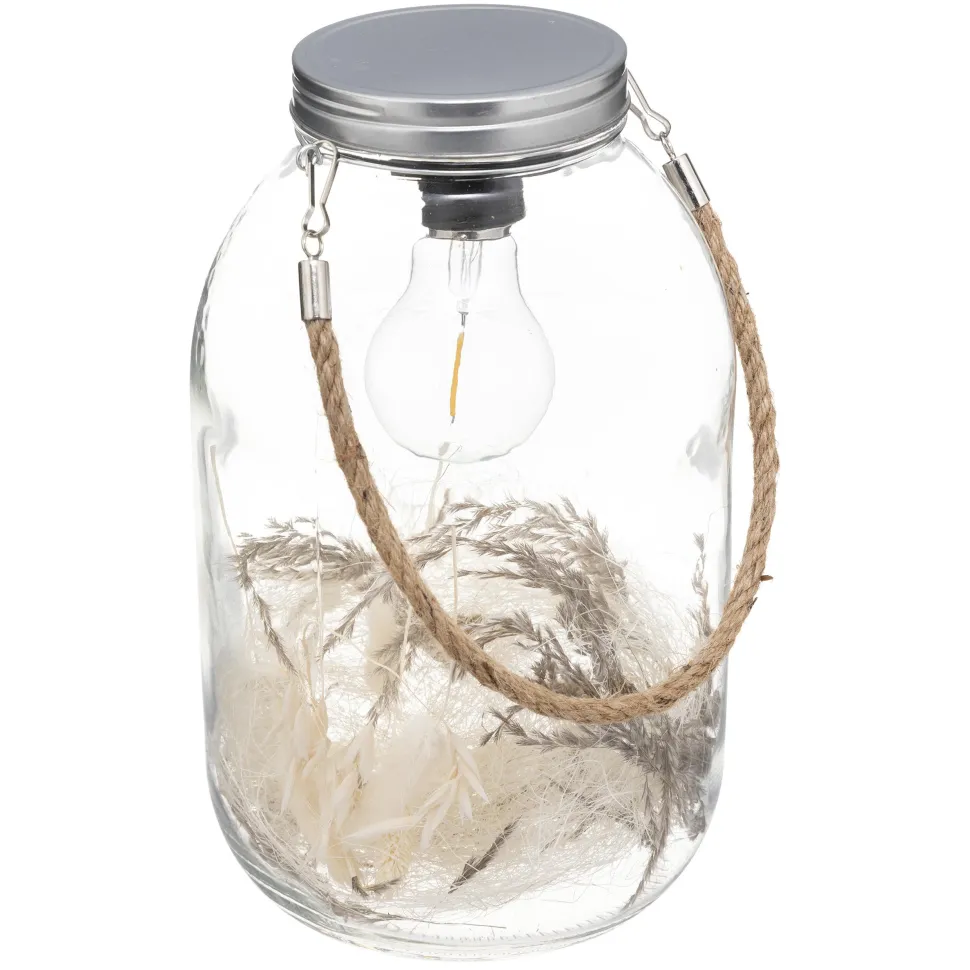 maxibazar Lanterne Led Fleurs Sechees D.17X28Cm