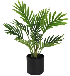 maxibazar Mini Palmier 10 Palmes Pot H.30Cm