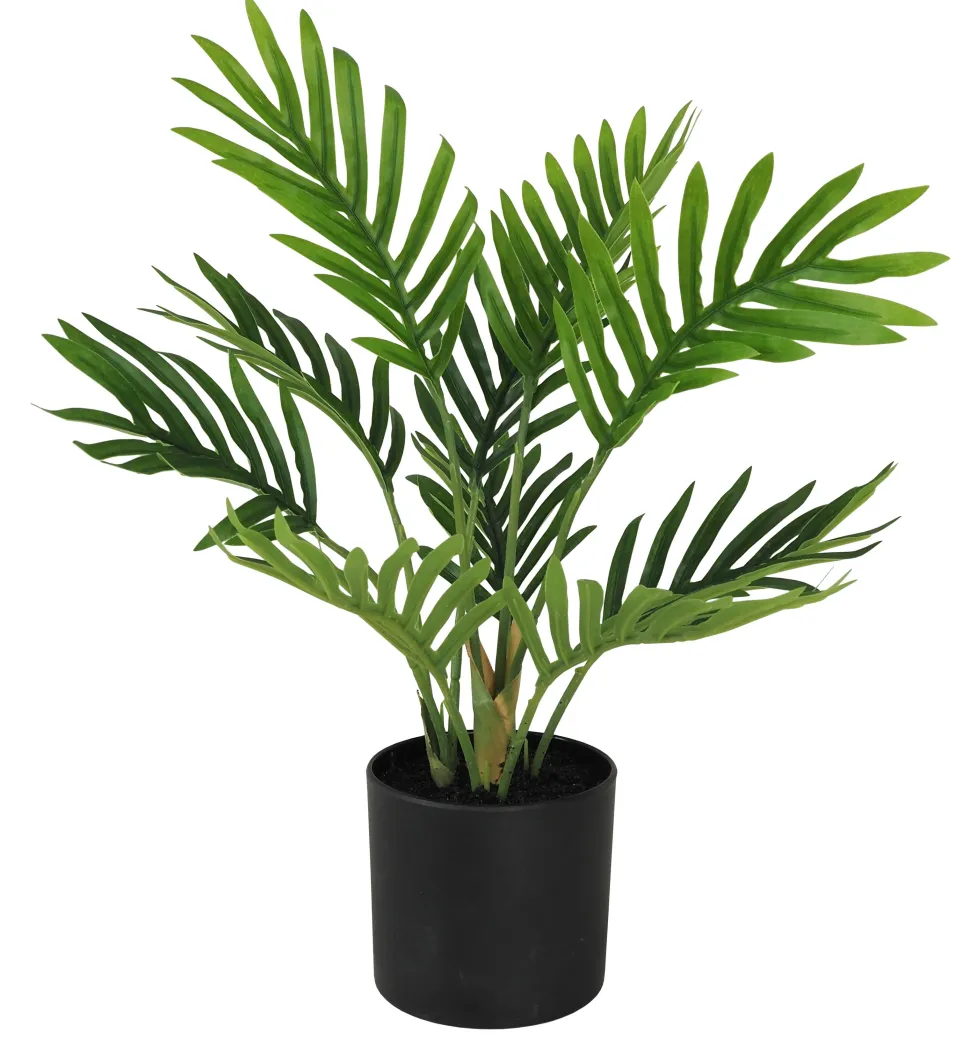 maxibazar Mini Palmier 10 Palmes Pot H.30Cm