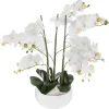 Atmosphera Orchidee Pot Ceramique Blanc H.65Cm