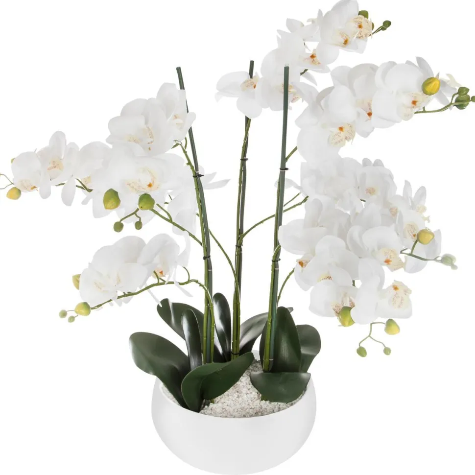 Atmosphera Orchidee Pot Ceramique Blanc H.65Cm