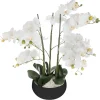 Atmosphera Orchidee Pot Ceramique Noir H.65Cm