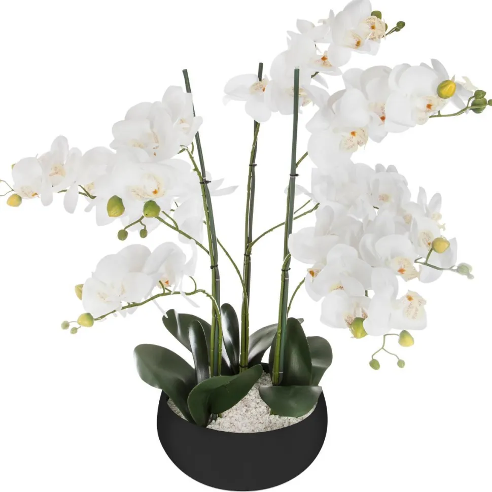 Atmosphera Orchidee Pot Ceramique Noir H.65Cm