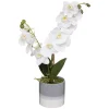 maxibazar Orchidee Pot Ceramique Reactive H.45Cm
