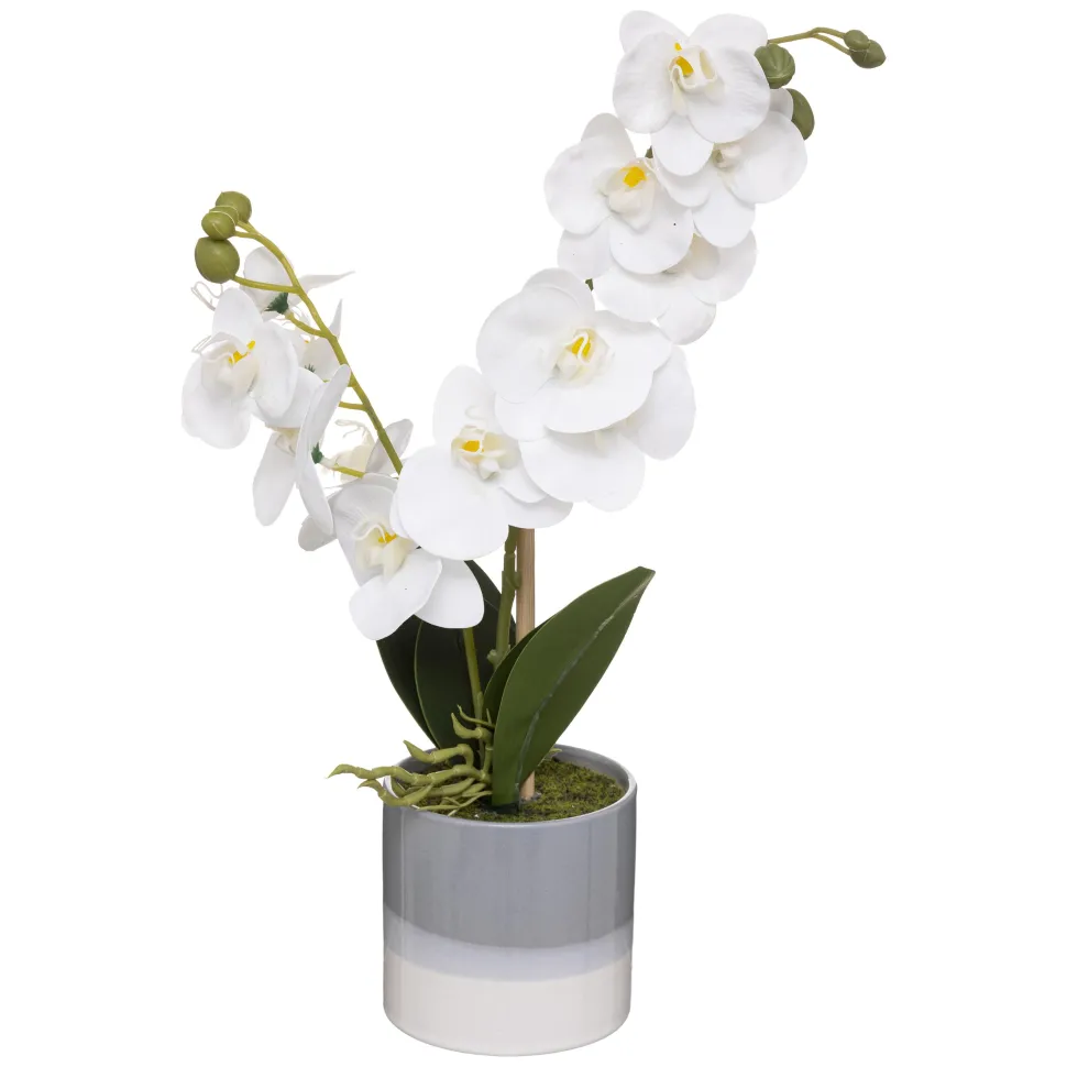 maxibazar Orchidee Pot Ceramique Reactive H.45Cm