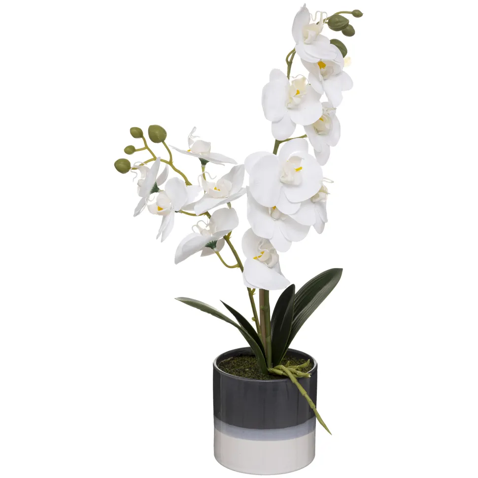 maxibazar Orchidee Pot Ceramique Reactive H.45Cm