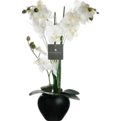 Atmosphera Orchidee Vase Ceramique Noir H.53Cm