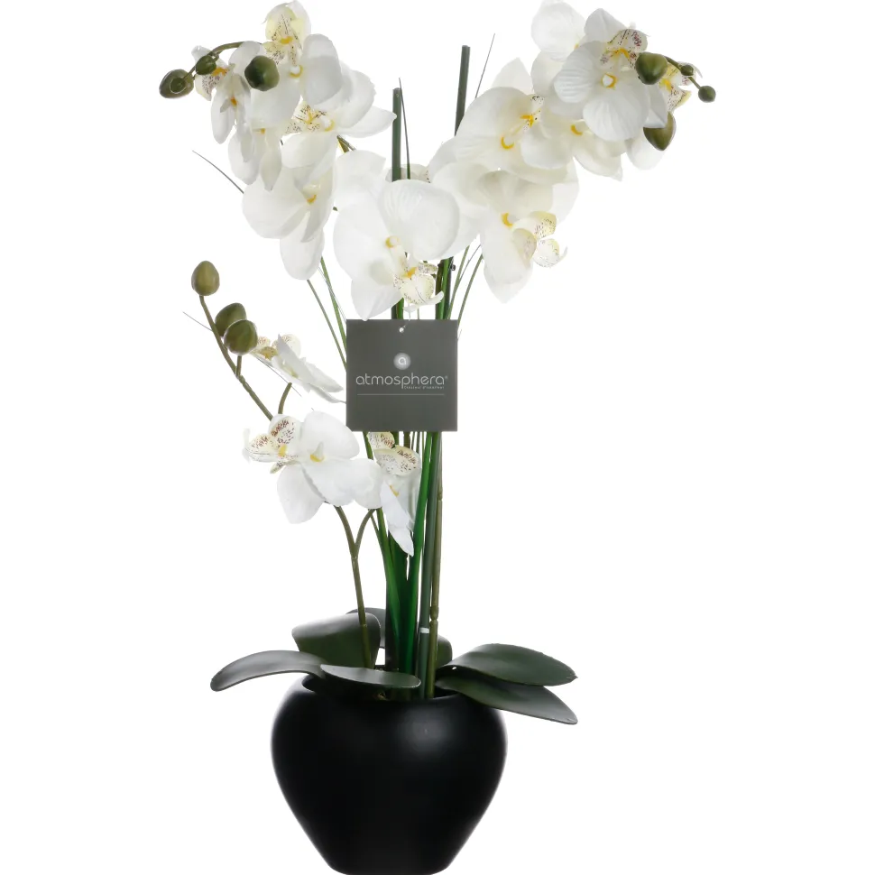Atmosphera Orchidee Vase Ceramique Noir H.53Cm