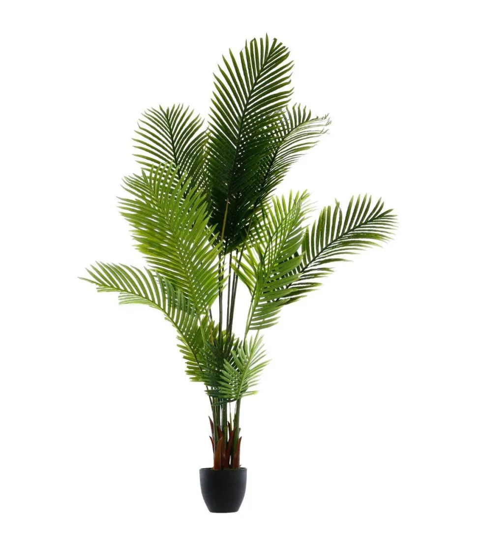 Atmosphera Palmier Pot H.170Cm