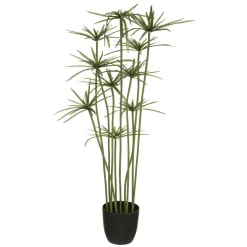 Atmosphera Papyrus H.120Cm