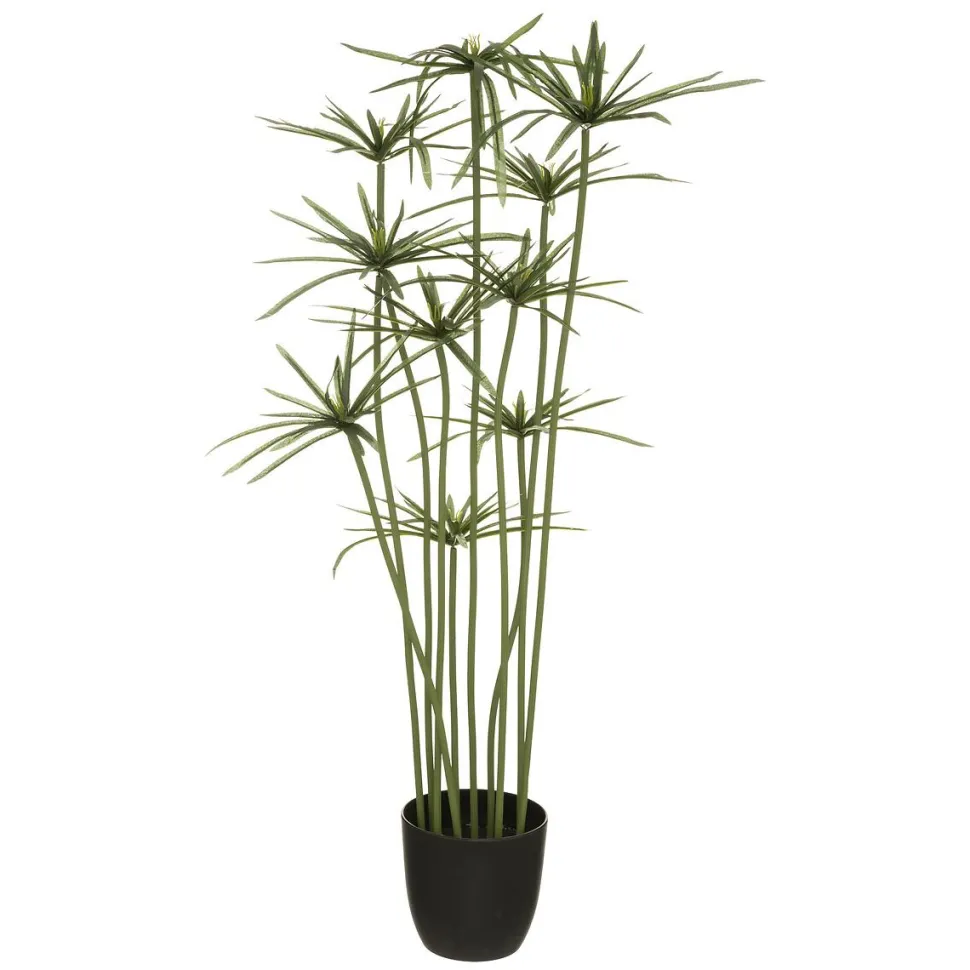 Atmosphera Papyrus H.120Cm