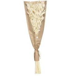 maxibazar Petit Bouquet Fleurs Sechees Naturel H.45Cm