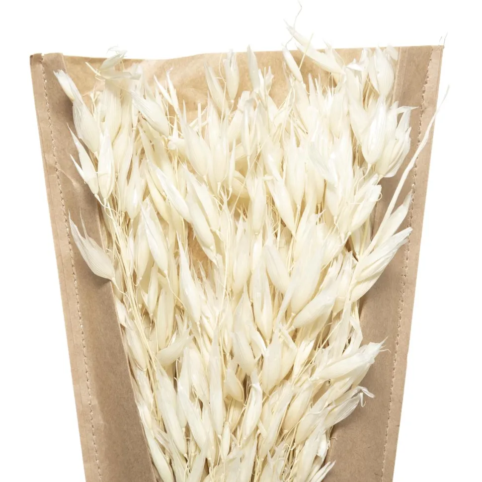 maxibazar Petit Bouquet Fleurs Sechees Naturel H.45Cm