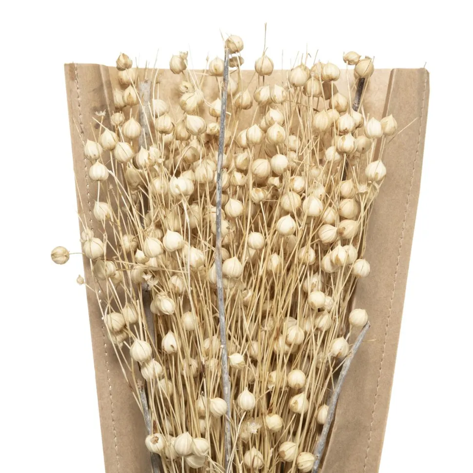 maxibazar Petit Bouquet Fleurs Sechees Naturel H.45Cm