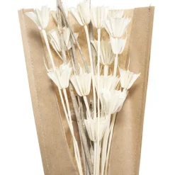 maxibazar Petit Bouquet Fleurs Sechees Naturel H.45Cm