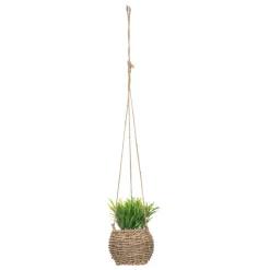 maxibazar Plante A Suspendre Naturel Zoe H.17Cm En Box