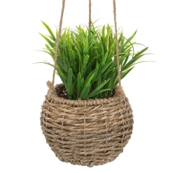 maxibazar Plante A Suspendre Naturel Zoe H.17Cm En Box