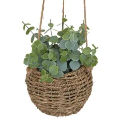 maxibazar Plante A Suspendre Naturel Zoe H.17Cm En Box