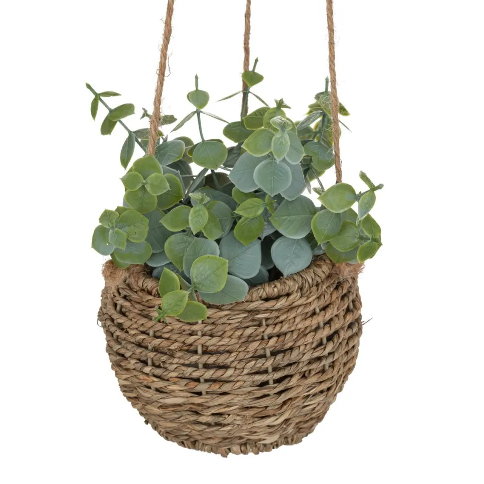 maxibazar Plante A Suspendre Naturel Zoe H.17Cm En Box