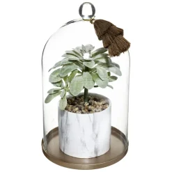 Atmosphera Plante Et Cloche Base Metal Suite