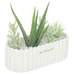 maxibazar Plante Jardin Ceramique Rivi D.14X20Cm