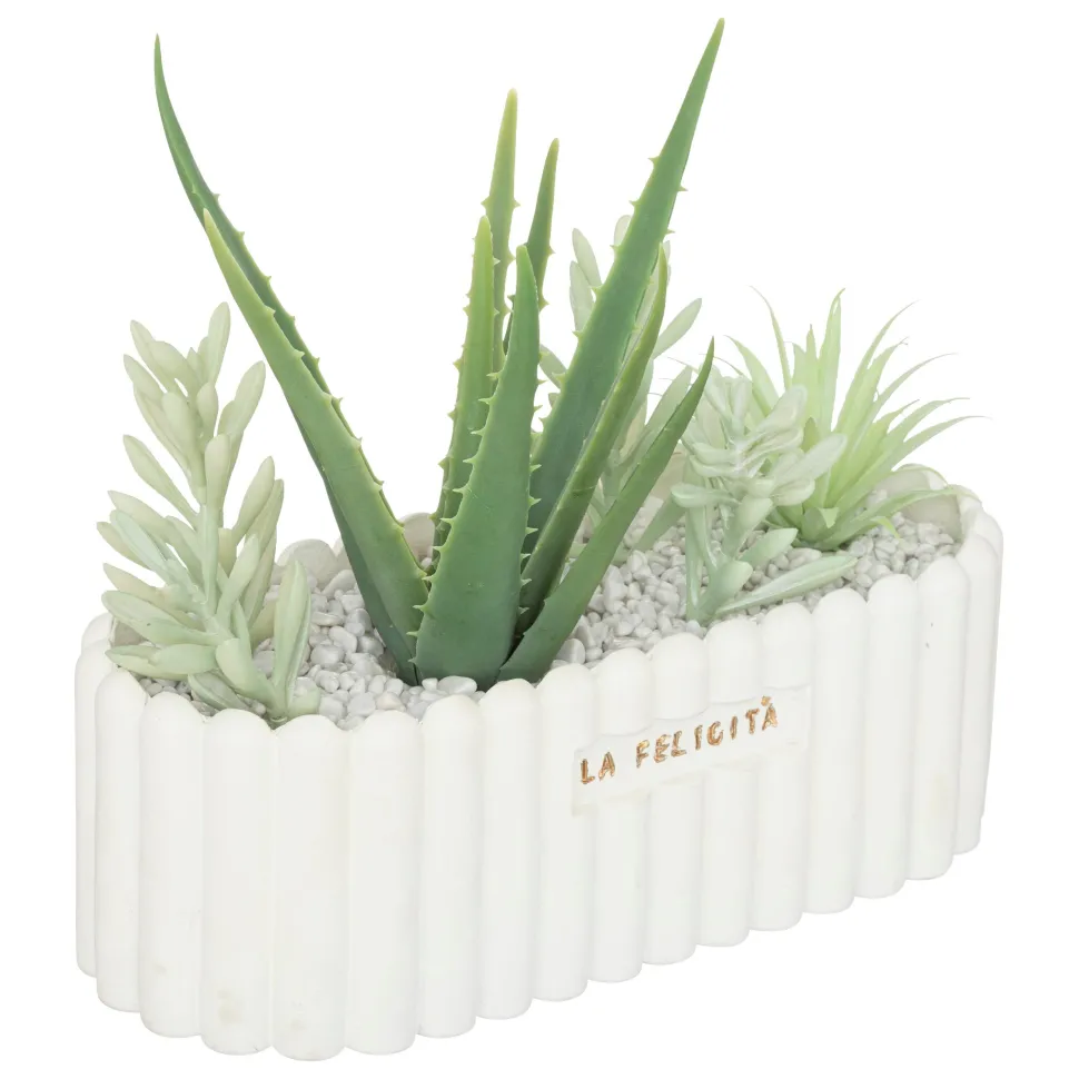 maxibazar Plante Jardin Ceramique Rivi D.14X20Cm