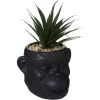 Atmosphera Plante Monkey Ceramique Noir Cuba H.20Cm