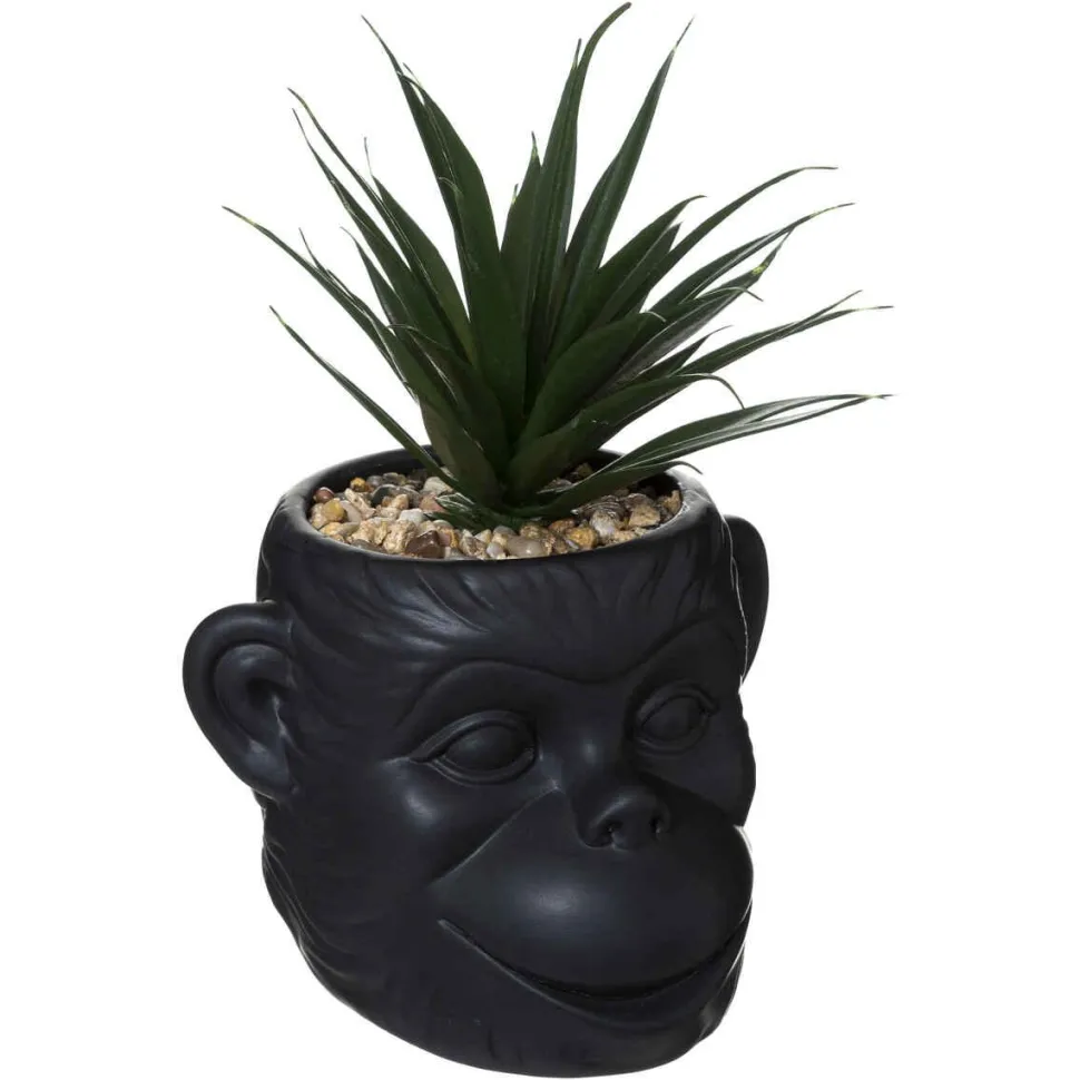 Atmosphera Plante Monkey Ceramique Noir Cuba H.20Cm