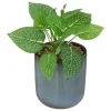 maxibazar Plante Pot Ceramique Reac Azur H.19Cm