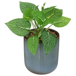 maxibazar Plante Pot Ceramique Reac Azur H.19Cm