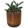 maxibazar Plante Pot Ceramique Reac Ocre H.16Cm