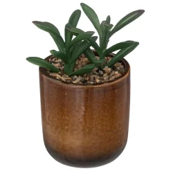 maxibazar Plante Pot Ceramique Reac Ocre H.16Cm
