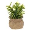 maxibazar Plante Pot Naturel Jil H.20Cm